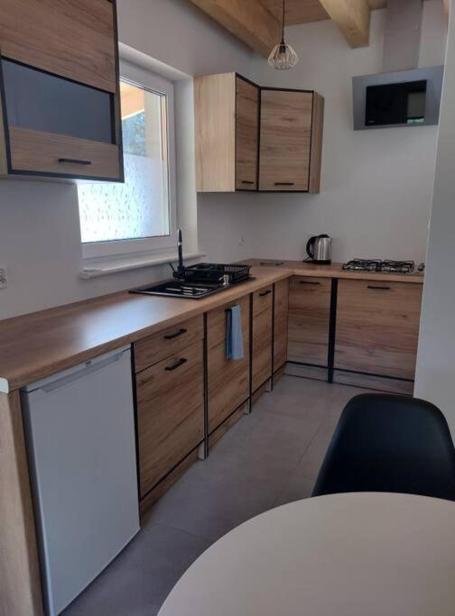 Apartamenty - Domek Bobrowe Zacisze 3 加诺维采威尔基耶 外观 照片